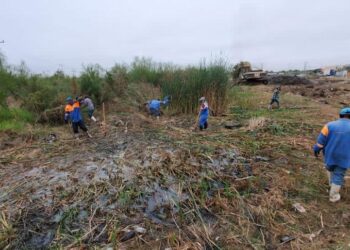 Cumple ‘Miércoles Ciudadano’  limpieza de arroyo en Olivos II