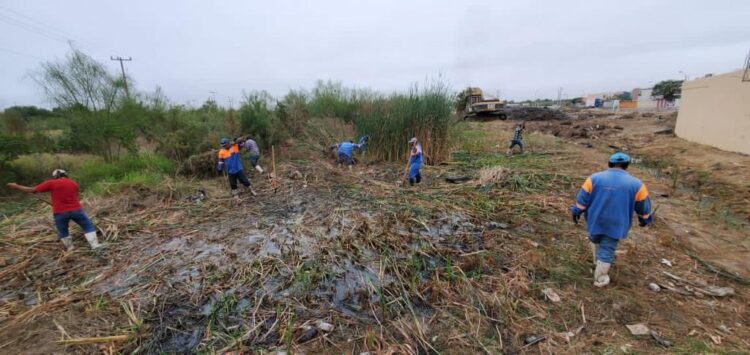 Cumple ‘Miércoles Ciudadano’ limpieza de arroyo en Olivos II