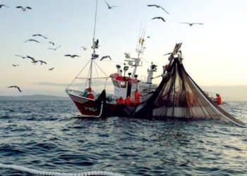 Publican el Programa Nacional de Pesca y Acuacultura 2020-2024