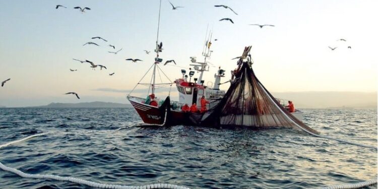 Publican el Programa Nacional de Pesca y Acuacultura 2020-2024