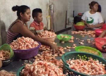 Amenazan despicadoras con protestas y bloqueos por falta de apoyos