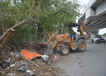 Municipio multa a particulares y empresas por tirar basura en la vía pública