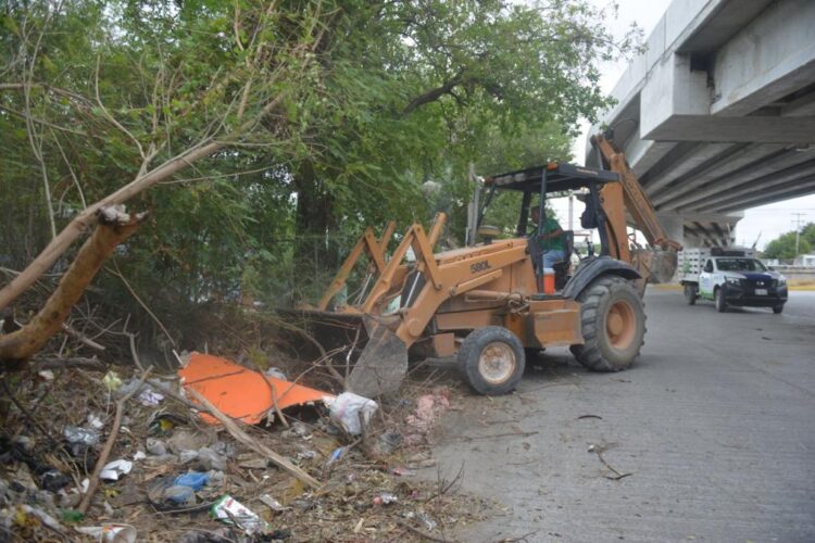 Municipio multa a particulares y empresas por tirar basura en la vía pública