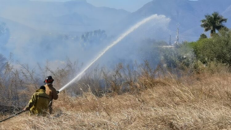 Llama el Ayuntamiento de Victoria a prevenir incendios