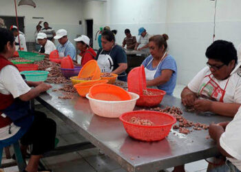 Despicadoras alistan movilizaciones por falta de apoyo federal