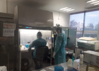 Confirma SST 52 nuevos casos de COVID-19