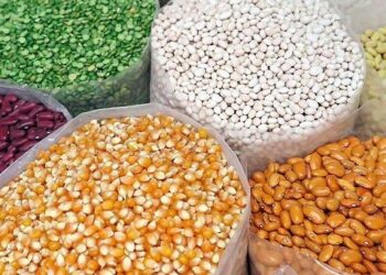 Ampliará desarrollo de tecnologías, tratamiento, validación y calidad de semillas