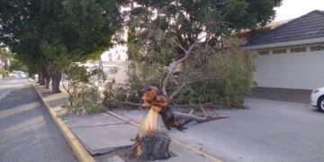 Ventarrones dejan sin luz y agua amplios sectores de Victoria