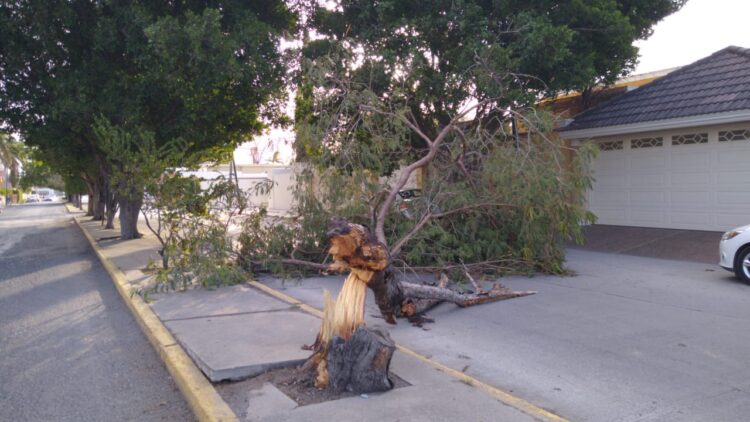 Ventarrones dejan sin luz y agua amplios sectores de Victoria