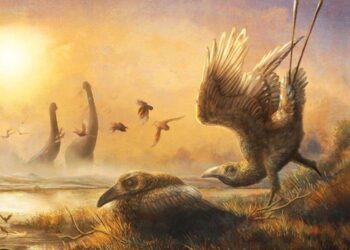 Descubren el eslabón perdido de los dinosaurios voladores