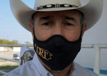 Limitan apoyos al sector ganadero