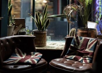 Beneficios de tener plantas en tu trabajo