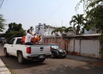 Contenida mosca del Mediterráneo en frontera sur de  México