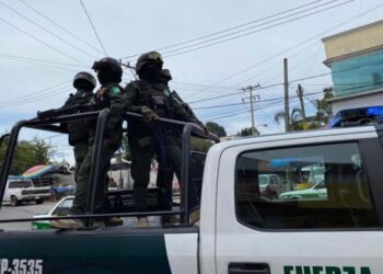 Caen 8 integrantes de célula del Cártel del Golfo en Veracruz