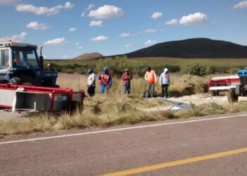 Desarrollan cosechadora de pasto con sistema continuo en la recolección de semilla
