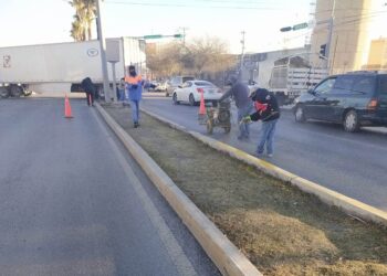 Dan mantenimiento a cordones,  acotamientos y camellones