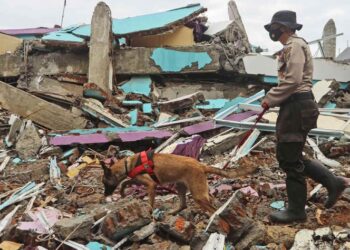 Suman 78 muertos por sismo en Indonesia