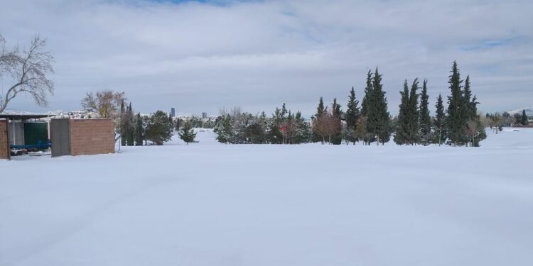 Sonora, Chihuahua y Coahuila afectados por heladas y nevadas