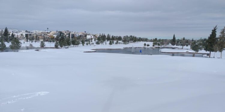 Sonora, Chihuahua y Coahuila afectados por heladas y nevadas