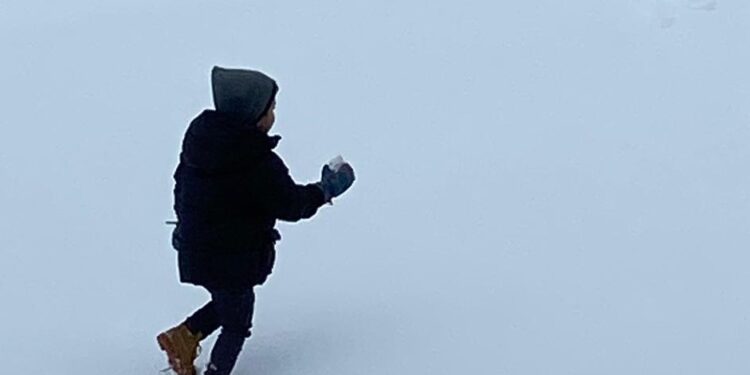 Sonora, Chihuahua y Coahuila afectados por heladas y nevadas