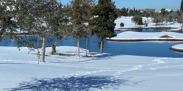 Sonora, Chihuahua y Coahuila afectados por heladas y nevadas