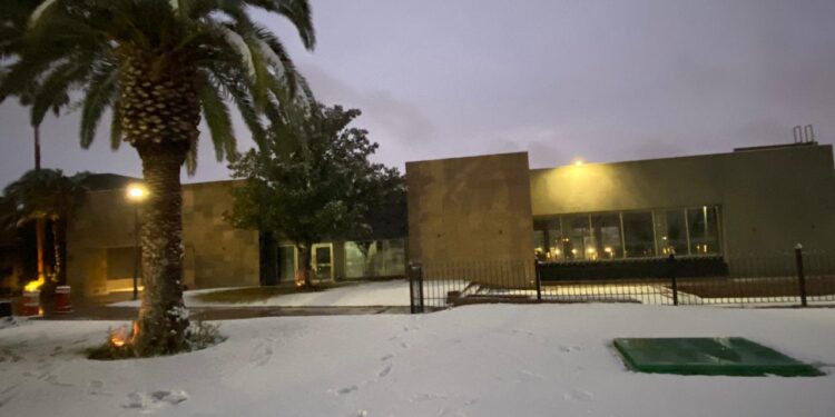Sonora, Chihuahua y Coahuila afectados por heladas y nevadas