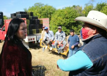 Demandan mayor respaldo al sector citrícola de Tamaulipas