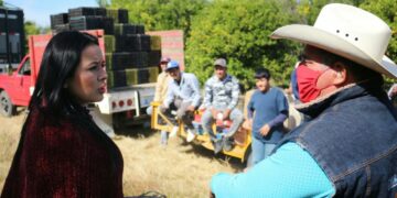 Demandan mayor respaldo al sector citrícola de Tamaulipas