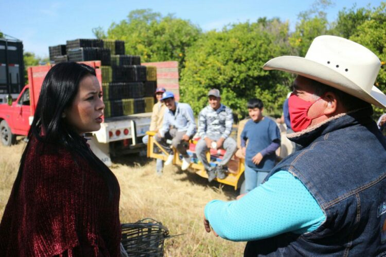 Demandan mayor respaldo al sector citrícola de Tamaulipas