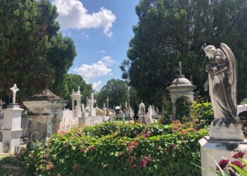 Egresados de Historia de la UAT harán proyecto sobre patrimonio cultural funerario