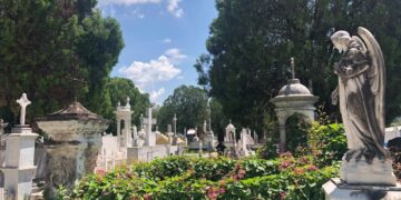 Egresados de Historia de la UAT harán proyecto sobre patrimonio cultural funerario