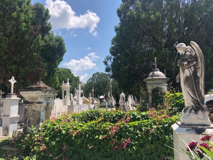 Egresados de Historia de la UAT harán proyecto sobre patrimonio cultural funerario