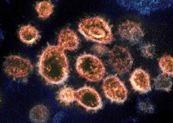 Detectan primeros casos de variante sudafricana del covid en EU