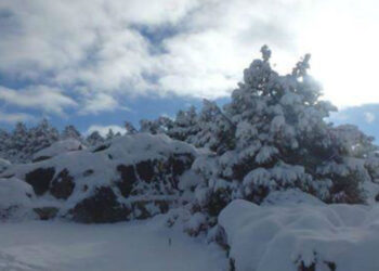 Durango  y Chihuahua reportan nieve y temperaturas bajo cero