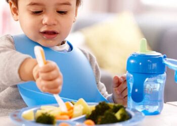 Alimentos para un bebe de 1 año
