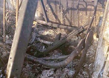 Identifican 4 cuerpos de la masacre de 19 migrantes en Camargo