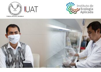 Premia UAT proyecto de biotecnología en manejo de plantas medicinales