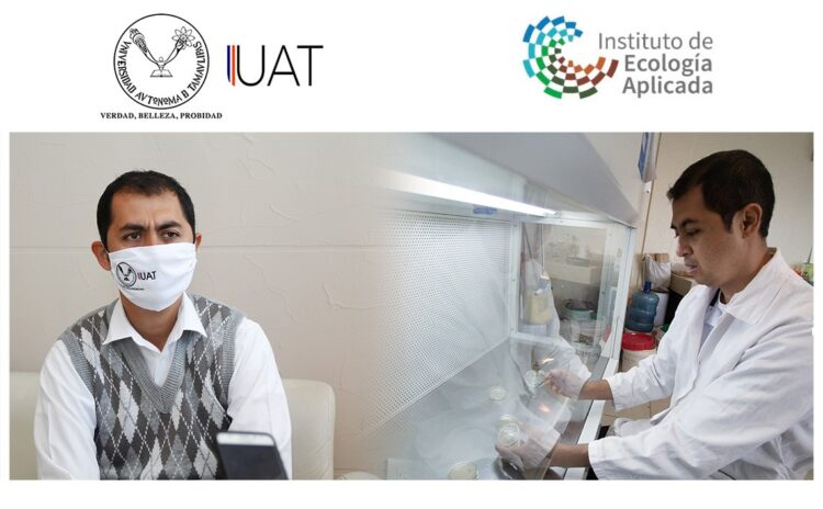 Premia UAT proyecto de biotecnología en manejo de plantas medicinales