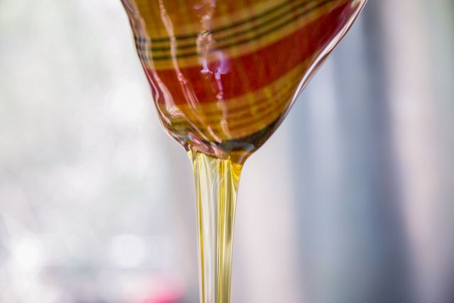 Producción para el Bienestar integra a productores de miel y cacao en apoyos directos