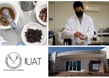 Explora la UAT proteínas en insectos para aplicaciones alimentarias