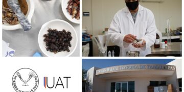 Explora la UAT proteínas en insectos para aplicaciones alimentarias