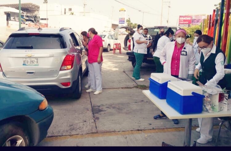 Reinicia IMSS vacunación anti influenza