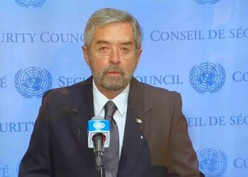 Plantea México atender tráfico de armas en el Consejo de Seguridad de la ONU