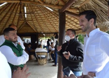 Alista el Verde perfiles de candidatos