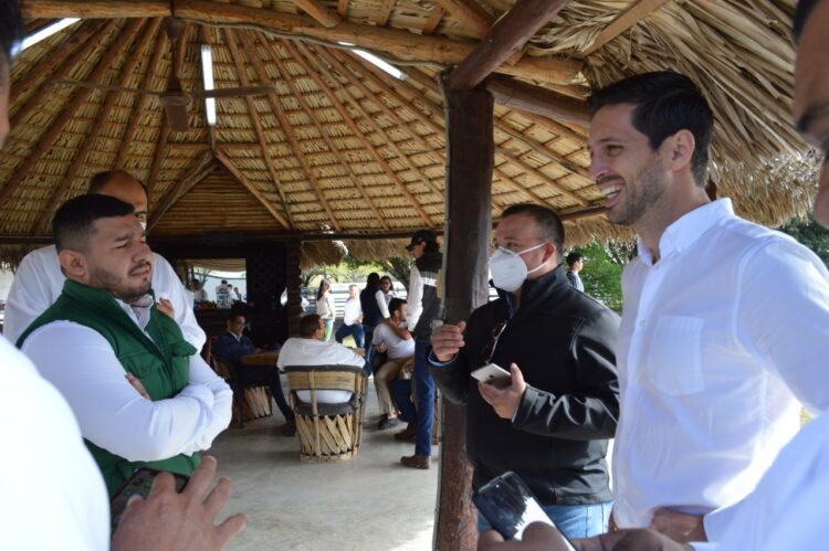 Alista el Verde perfiles de candidatos
