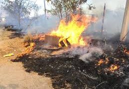 Pirotecnia disparó incendios en Victoria: Protección Civil