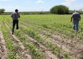 Apoyará Conagua a distritos de riego con alto grado de marginación