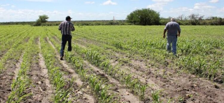 Apoyará Conagua a distritos de riego con alto grado de marginación