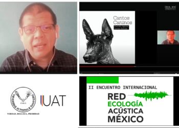 Presentan proyecto musical de cantos caninos del “xoloitzcuintle”
