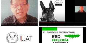 Presentan proyecto musical de cantos caninos del “xoloitzcuintle”